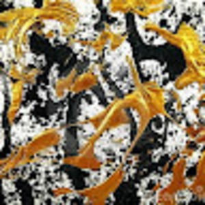 Meet your Posher, Petrosimotifs